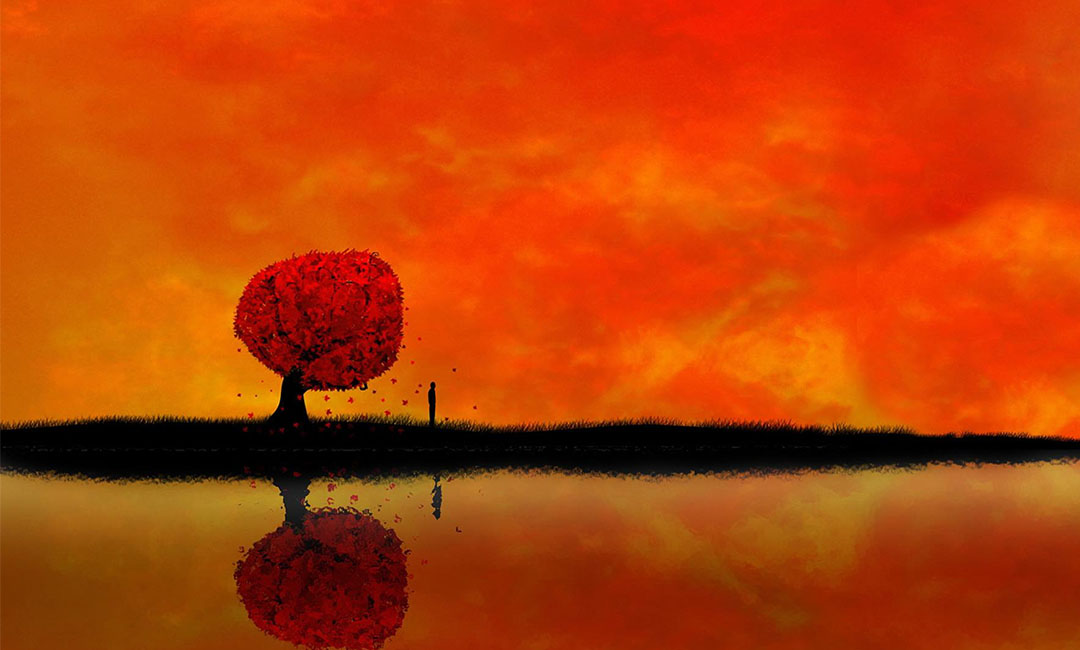 安顺笙影微信朋友圈转发案例